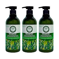 Pack de 3 Shampoo de Te Verde Wokaly de 550 ml
